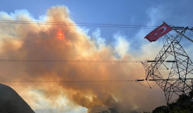 Sakarya Geyve’de yeni orman yangını / Ek fotoğraflar