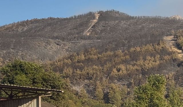 Sakarya Geyve’deki orman yangını 4’üncü günde kısmen kontrol altında