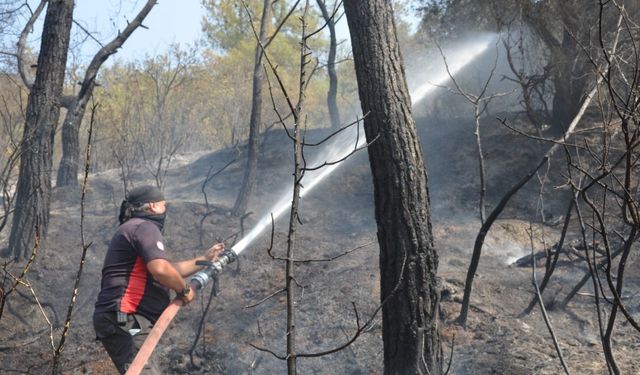 Sakarya'da yangınlar söndürüldü; Bayat'ta alevler kısmen kontrol altında (3)