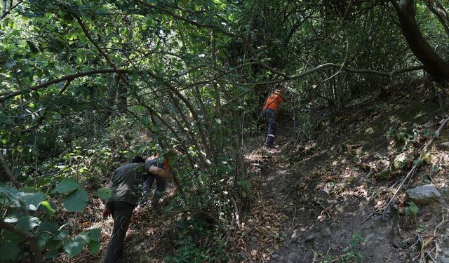 Sakarya'da yangınlardan etkilenen can dostlar için seferberlik