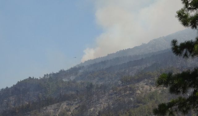 Sakarya'daki orman yangını 2'nci gününde (6)