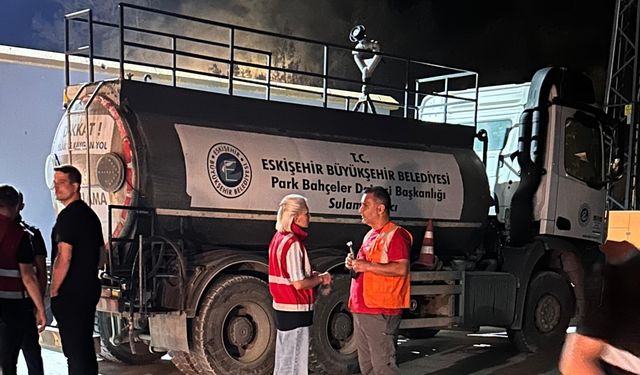 Sakarya'daki orman yangını 2'nci gününde (9)