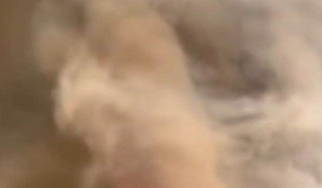 Sakarya'daki orman yangını 3'üncü gününde (2)
