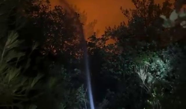 Sakarya'daki orman yangını 3'üncü gününde (3)