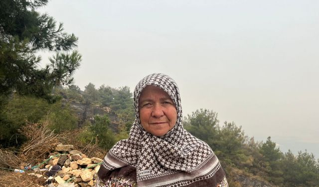 Sakarya'daki orman yangını 3'üncü gününde (4)