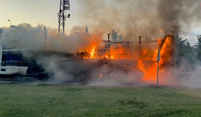 Sünger yüklü TIR alev aldı; şoför gözyaşlarını tutamadı