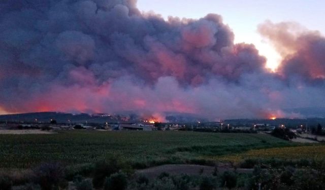 Tekirdağ'da orman yangını (4)
