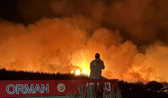 Tekirdağ'da orman yangını; alevler Çanakkale sınırına geçti/ Ek fotoğraflar