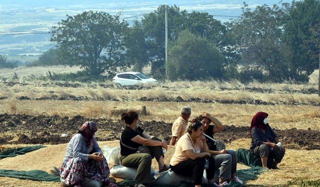 Tekirdağ’da orman yangınında 2’nci gün (4)