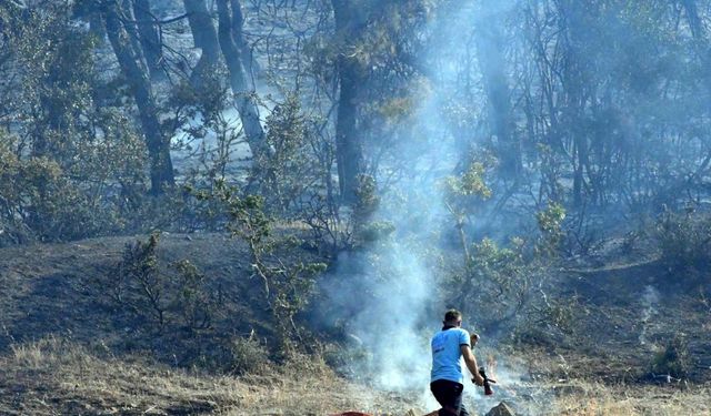 Tekirdağ'daki orman yangını 2'nci gününde / Ek fotoğraflar