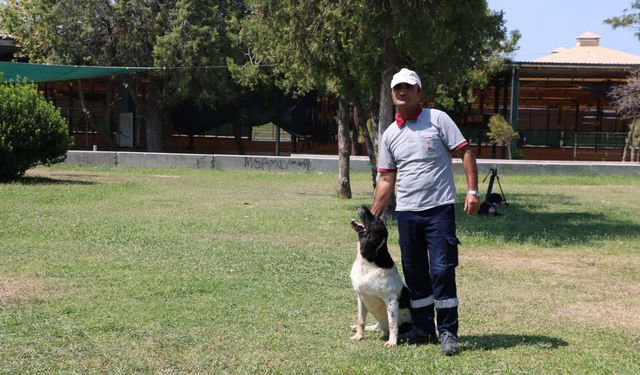 Temizlik görevlisinin sokak köpeği ile bağı dikkat çekiyor: O benim 3'üncü çocuğum