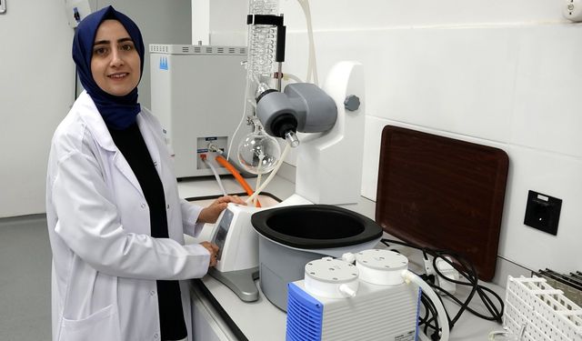 Yaz tatlısında gizli tehlike: Hazır dondurmada aşırı katkı riski