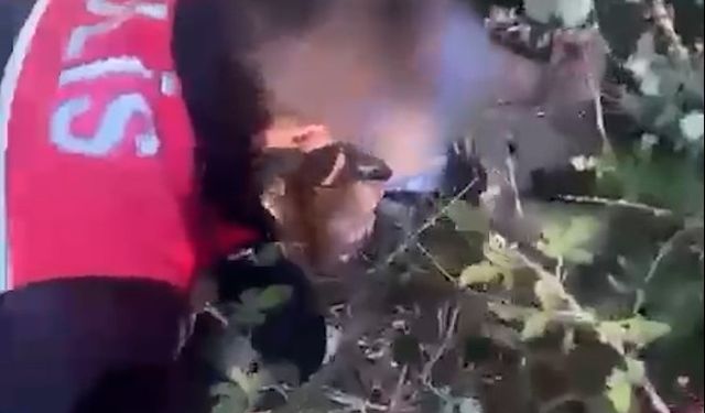 7 yıl hapisle aranan firari, takiple çalılar arasında yakalandı