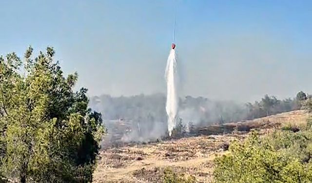 Adana'da orman yangını