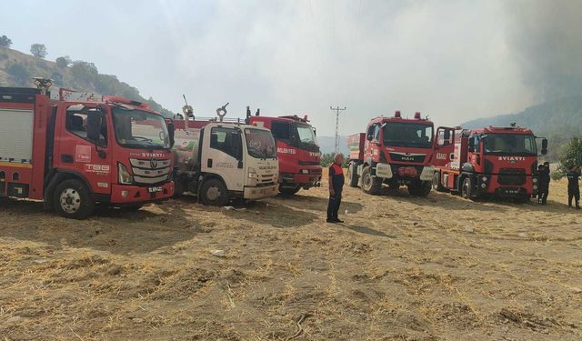 Adıyaman'da orman yangınına havadan ve karadan müdahale