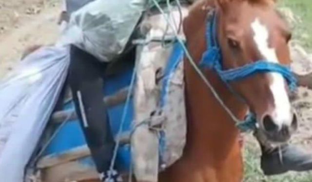 Av tüfeğiyle oynarken kendini vurdu; hayatını kaybetti