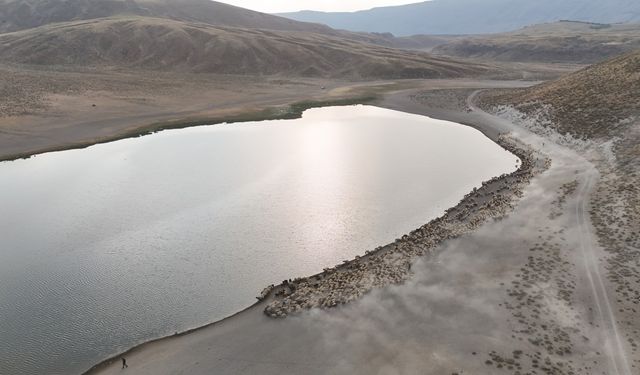 Bitlis'te göçerlerin zorlu yayla hayatı