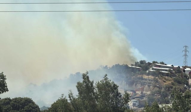 Bodrum'da maki yangını