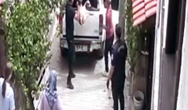 Bolu -Bayılttıkları köpekleri aracın kasasına fırlattılar; o anlar kamerada /Video eklendi