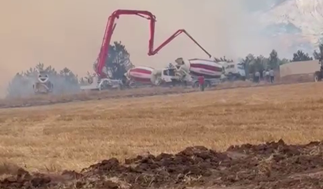 Bolu'da orman yangını (2)