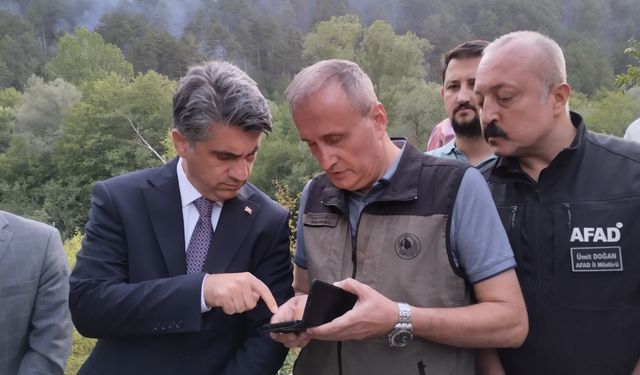 Bolu'da orman yangını (4)