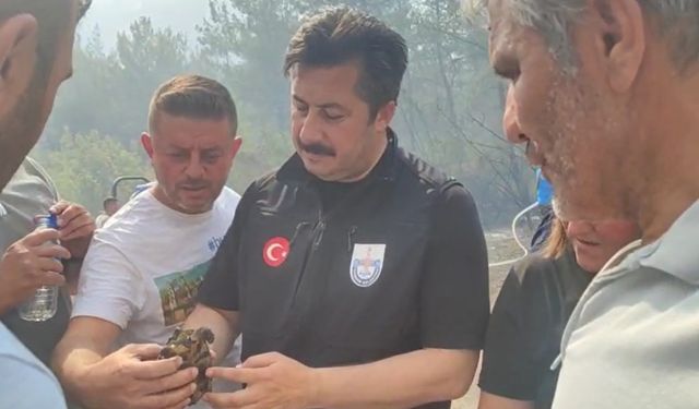 Bursa'da orman yangını (3)