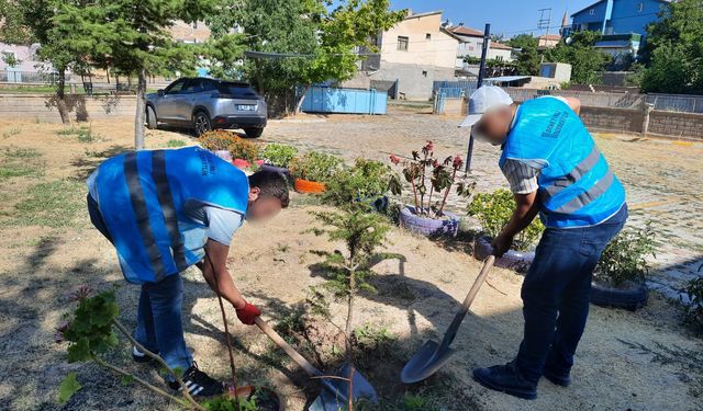 Denetimli serbestlik yükümlülerinden, ilçedeki okullarda tadilat / Ek fotoğraflar