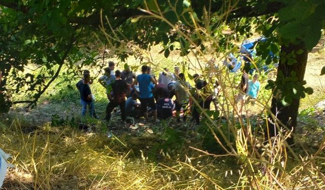 Düzce’de fındık işçilerinin taşındığı patpat devrildi: 4 yaralı