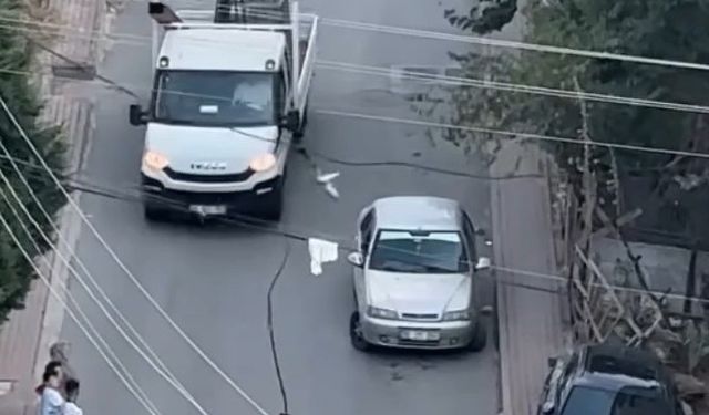 Elektrik kablosuna takılan güvercini kamyonetin kasasına çıkarak kurtardı