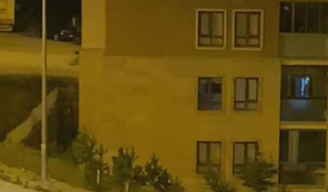 Eşeği otomobilin arkasına bağlayıp sürükleyerek götürenlere ceza