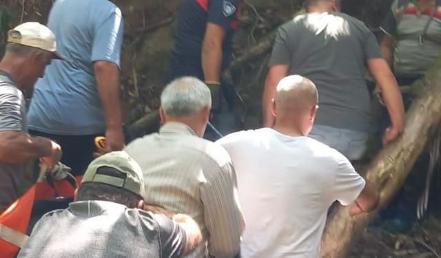 Fındık toplarken uçurumdan yuvarlanıp öldü