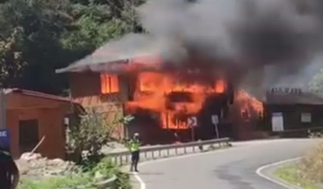 Giresun'da sosyal tesislerde yangın; restoran ile kafe yandı