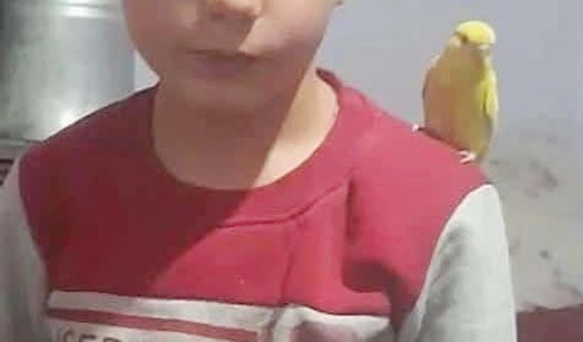 Gölete giren 2 çocuk boğuldu / Ek fotoğraflar