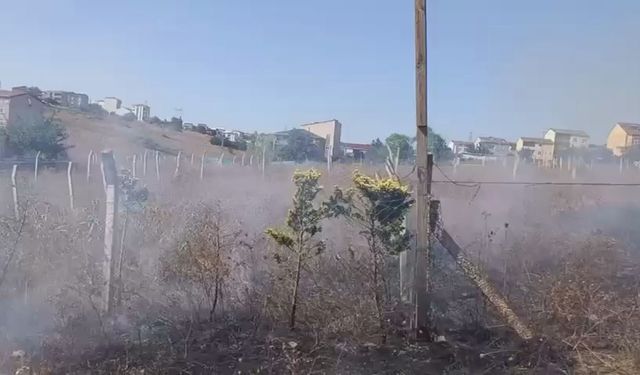 İstanbul - Arnavutköy'de otluk alanda yangın çıkaran şüpheli, itfaiye ekiplerine saldırdı
