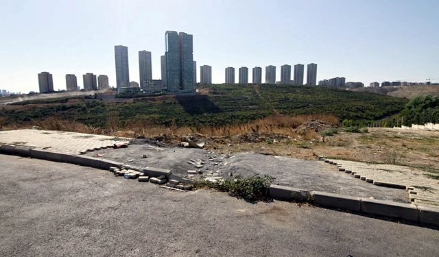 İstanbul- Avcılar'da kaldırım taşı hırsızlığı kamerada