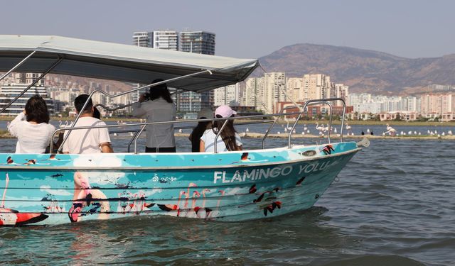 İzmir'de 'Flamingo Yolu' turu renkli görüntülere sahne oluyor /Video eklendi