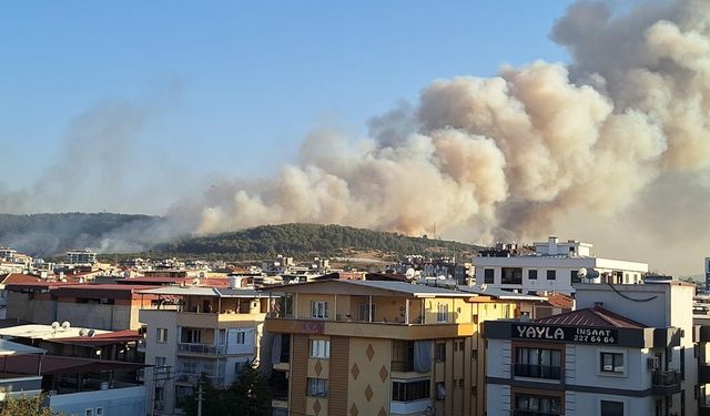 İzmir'de minibüste çıkan yangın ormana da sıçradı (2)
