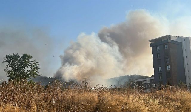 İzmir’de minibüste çıkan yangın ormana sıçradı