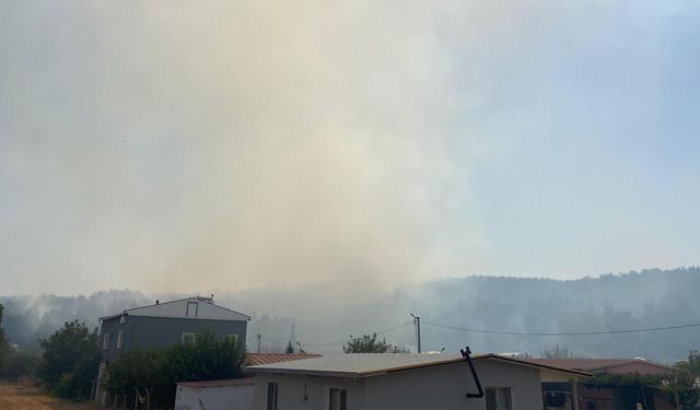 İzmir'de orman yangını (2) / Video eklendi