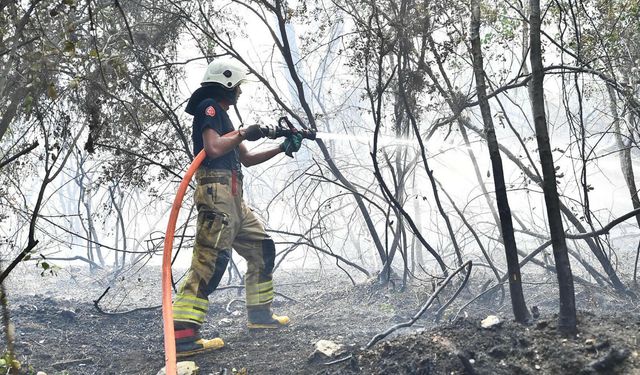 İzmir'de orman yangını (3)