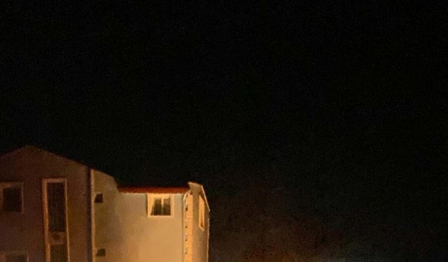 İzmir'de ot yangını; bazı evler zarar gördü