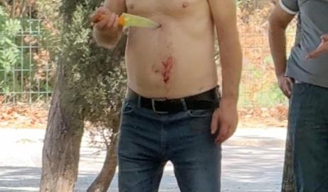 Kadın çalışana bıçakla saldıran şüpheli, itiraz sonrası tutuklandı
