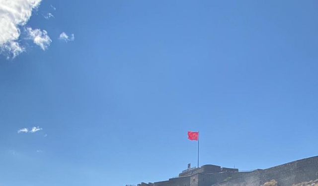 Kars Kalesi eteklerindeki yangına ilişkin 1 tutuklama