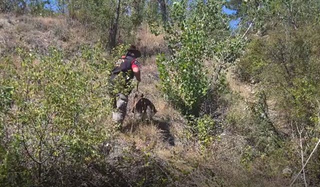 Kayıp adam, 4 iz köpeği ve 115 kişilik ekiple aranıyor