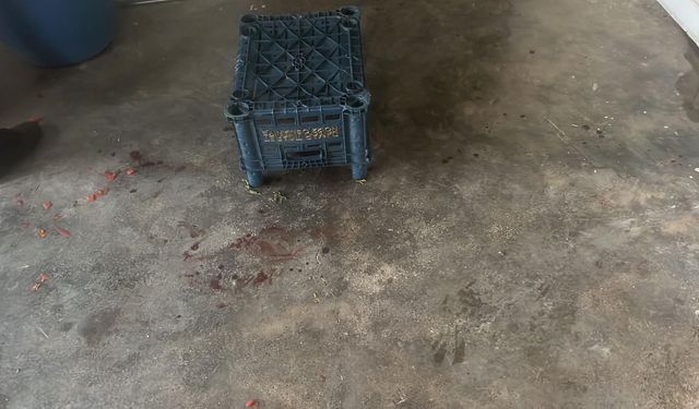 Konserve yapan ailesine yardım eden çocuğun ayağına 'yorgun mermi' isabet etti