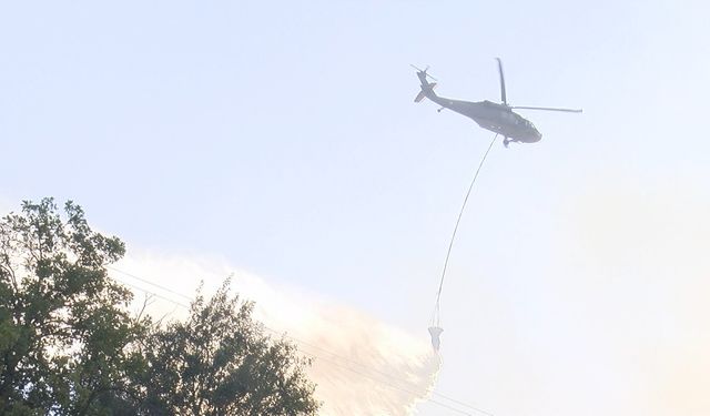 Malatya'da orman yangını (2)