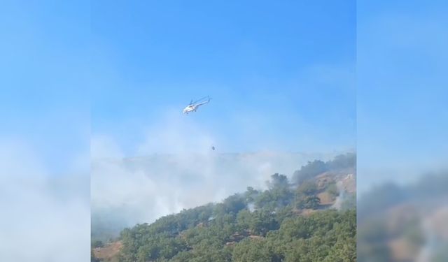 Malatya'da orman yangını 21 saat sonra kontrol altına alındı