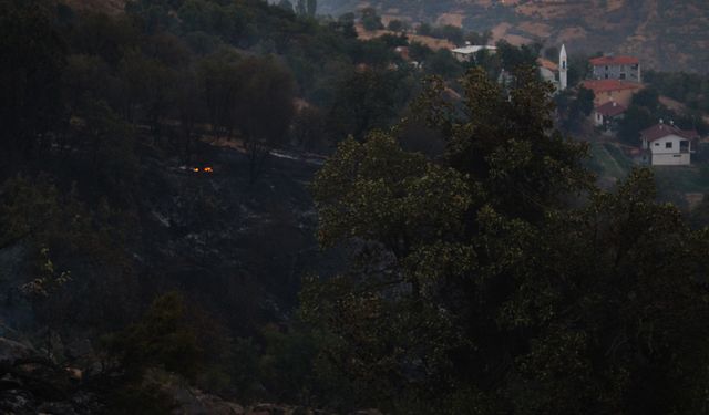 Malatya'da orman yangını (4)