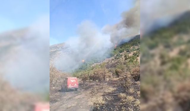Malatya'da orman yangını