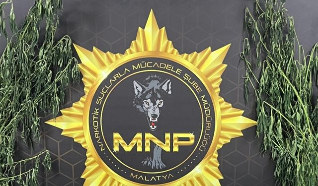Malatya'da uyuşturucu operasyonunda 9 tutuklama